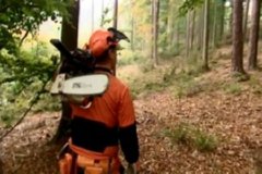 STIHL 10  IMAGEN FOTOGRAFIA